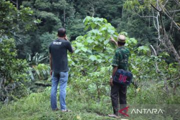 Masyarakat hutan adat Aceh: Verifikasi jadi babak penentuan bagi kami
