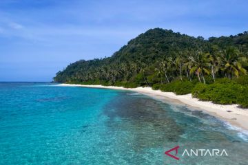 Pulau Senua jadi pusat konservasi penyu dan wisata edukasi di Natuna