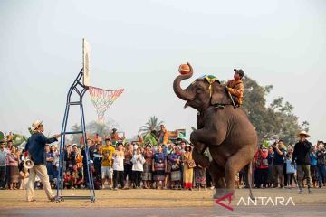 Festival Gajah di Laos