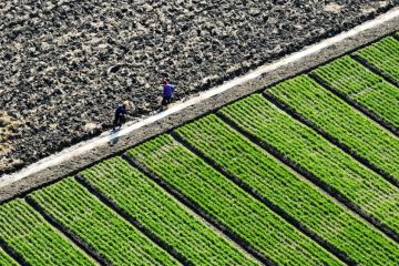 China impor bahan pertanian dari negara-negara Sabuk dan Jalur Sutra