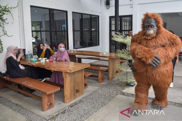 Kampanye pelestarian orangutan Tapanuli