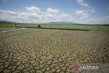 Sebagian wilayah Jateng masuk musim kemarau pertengahan April