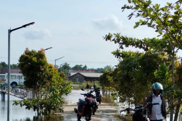 Banjir rob rendam rumah warga kawasan pesisir Jambi