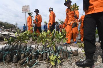 PENANAMAN MANGROVE HUT BASARNAS