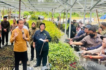 Jokowi tekankan pembangunan IKN tetap proteksi orang utan dan bekantan