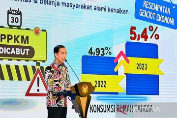 Presiden minta urusan perizinan investasi selesai dalam hitungan jam