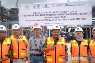 Komisi VI optimistis smelter Manyar beri manfaat ekonomi bagi Jatim