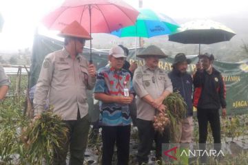 Irjen Kementan pantau ketersediaan bawang putih jelang Ramadhan 2023