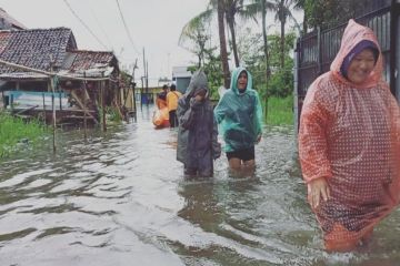 Hujan deras hingga Sabtu pagi, banjir Pekalongan meluas ke 3 kecamatan