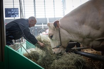 Paris lakukan persiapan jelang Pameran Pertanian Internasional tahunan