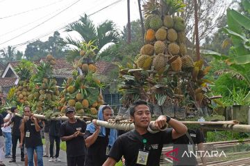 Kirab gunungan durian di Magelang