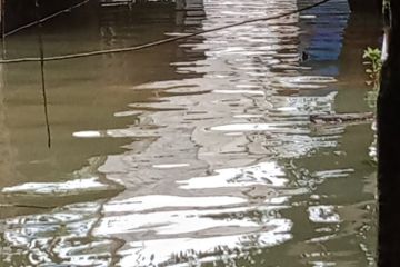14 RT di Cawang terdampak banjir hingga 1,3 meter