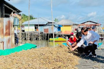 Warga Kampung Nelayan Tanjung Pasir antusias sambut kunjungan Presiden