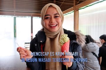 Mencecap es krim wasabi di kebun wasabi terbesar di Jepang