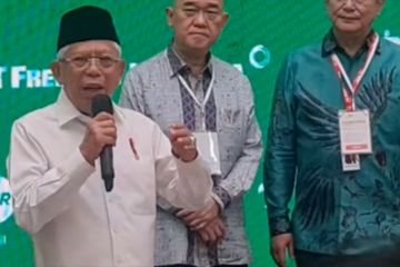 Wapres optimis smelter Freeport di Gresik beroperasi Mei 2024