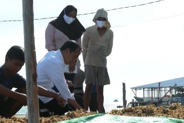 Begini curhat nelayan Tarakan kepada Presiden