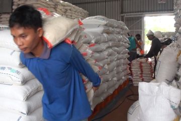 Bulog Kalteng salurkan 1200 ton beras untuk jaga stabilitas harga