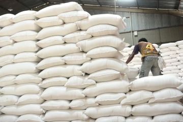 Bulog Papua pastikan stok beras aman jelang Ramadhan