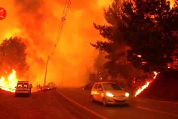 Chili minta bantuan internasional padamkan kebakaran hutan