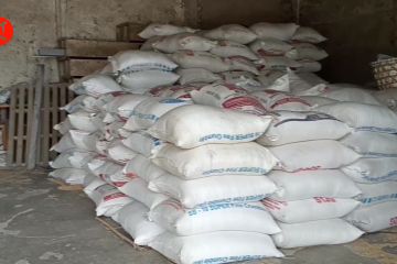 Demi jaga harga, Bulog Bali datangkan 2000 ton beras dari Banyuwangi