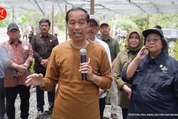 Presiden Jokowi: Konsep IKN Hijau dimulai dari Persemaian Mentawir