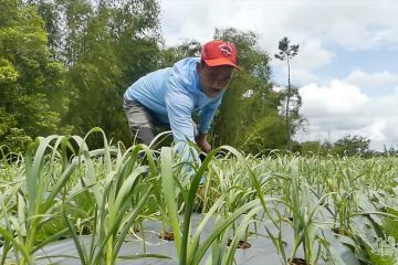 Menkop UKM ajak petani Magelang gabung koperasi petani