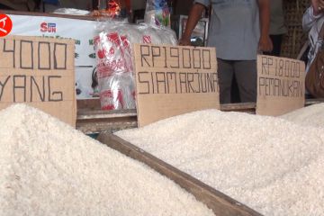 Pasokan beras dan minyak di Kalimantan Tengah dipastikan tercukupi
