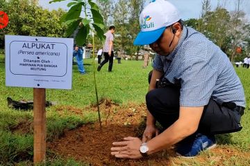 Babel tanam alpokat roro pada gerakan penanaman 1000 pohon