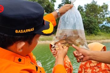 Basarnas lepas ribuan ikan endemik dan tanam ratusan pohon mangrove