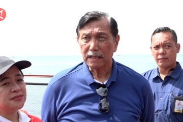 Luhut sudah bicara dengan Erick untuk bentuk tim PowerBoat Indonesia