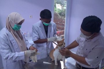 Mulai dari kucing hingga kuda bisa berobat gratis di Bogor