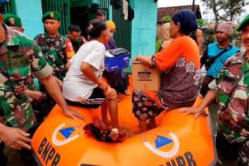 Banjir Pekalongan belum surut, pengungsi bertambah