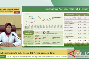 BPS: Bukittinggi peringkat keempat inflasi nasional