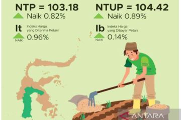 BPS: Tingkat kesejahteraan petani Sulsel  semakin membaik