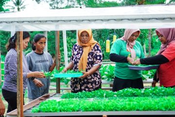 OIKN: Pelatihan pertanian di Nusantara membuahkan hasil