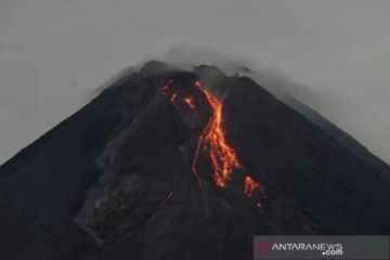 Gunung Merapi luncurkan dua guguran lava selama sepekan