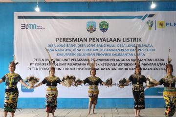 Komisi VI minta dukungan PLN seluruh desa di Kaltara berlistrik 2024