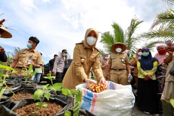 Banyuwangi pastikan stok cabai dan bawang merah aman hingga Lebaran