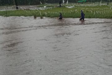 Hujan deras, empat desa di Kabupaten Bima diterjang banjir