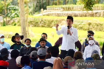 Presiden: Penggunaan pupuk organik contoh baik mengatasi masalah pupuk