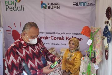 Sebanyak 10 UMKM binaan PLN Kalbar mampu rambah pasar internasional