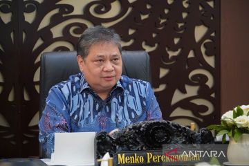 Menko Airlangga terus akselerasi peremajaan sawit rakyat