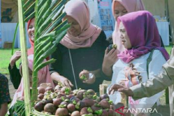 Pelepasan ekspor manggis warnai Festival Manggis Purwakarta 2023