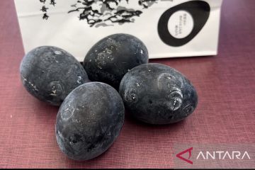 "Kuro tamago", telur panjang umur khas Owakudani Jepang