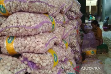 Sepekan, impor bawang putih hingga kerja sama Indonesia-China