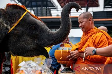 Perayaan Hari Gajah di Thailand