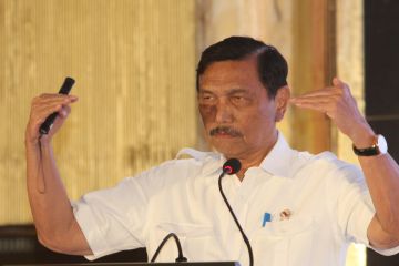 Luhut akan gandeng Singapura kembangkan industri panel surya