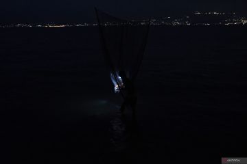 NELAYAN UDANG TELUK PALU