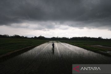 Sejumlah wilayah berpotensi alami hujan lebat dan angin kencang