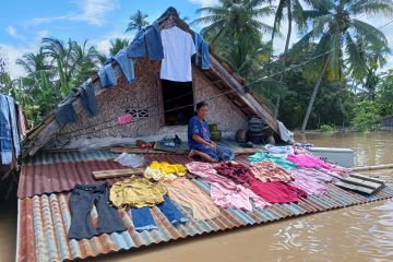 BNPB: Banjir Musi Rawas sebabkan 8.227 jiwa terdampak